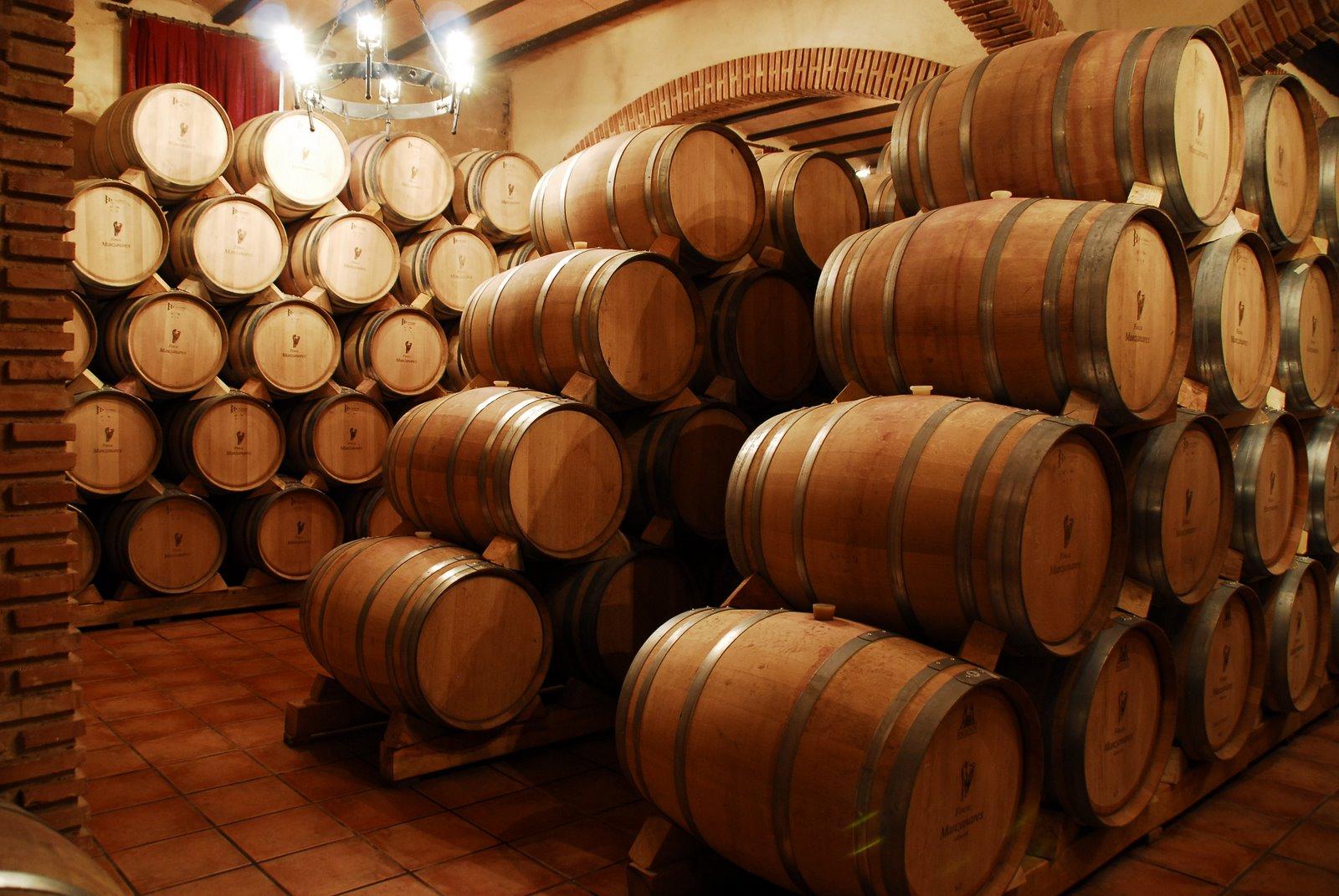 Vinotelia Vinotelia - Vinotelia, cultura del vino, curso de vino 